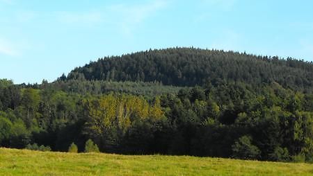 Agroturystyka Zacisze Czarna Owca Brzezanka Luaran gambar