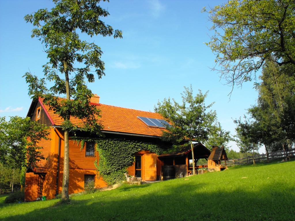 Agroturystyka Zacisze Czarna Owca Brzezanka Luaran gambar