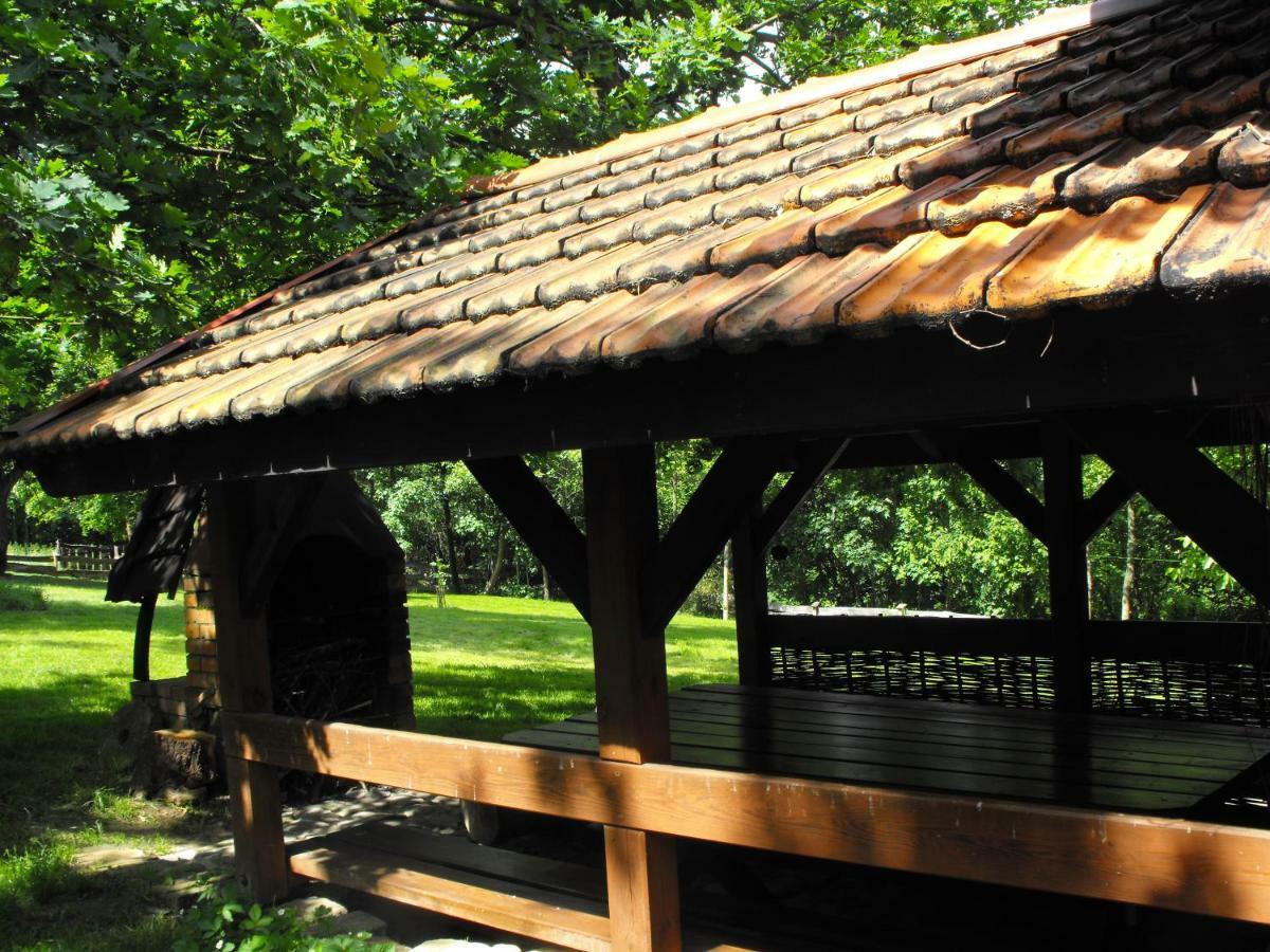 Agroturystyka Zacisze Czarna Owca Brzezanka Luaran gambar